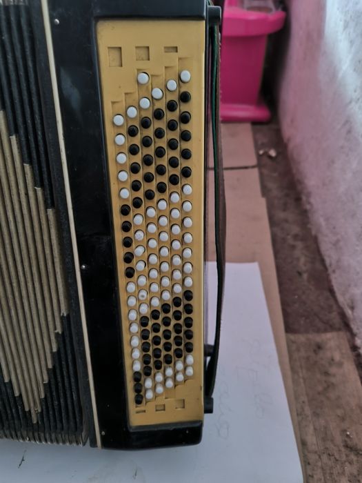 Электробаян Мечта