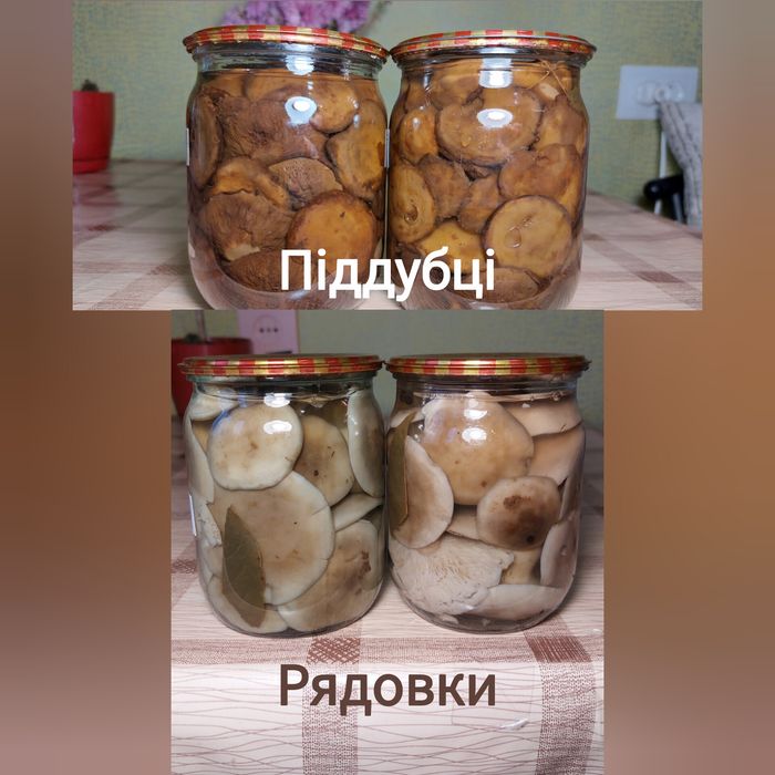 Гриби в асортименті мар. 2025 року