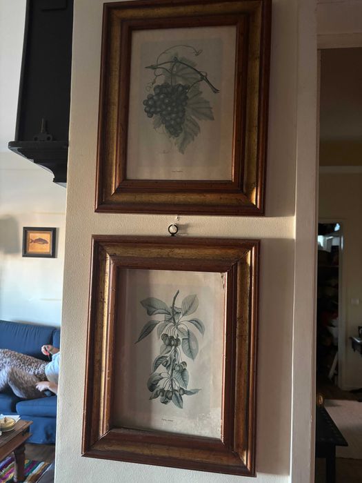 Quadros decorativos salas de jantar