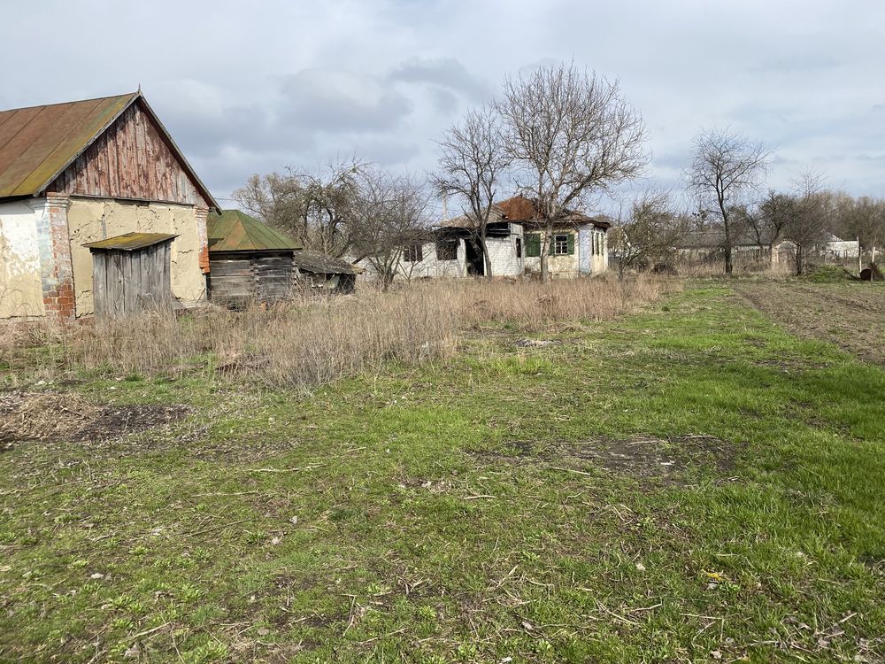 Земельна ділянка. Будинок. Журавка. Чернігівська область