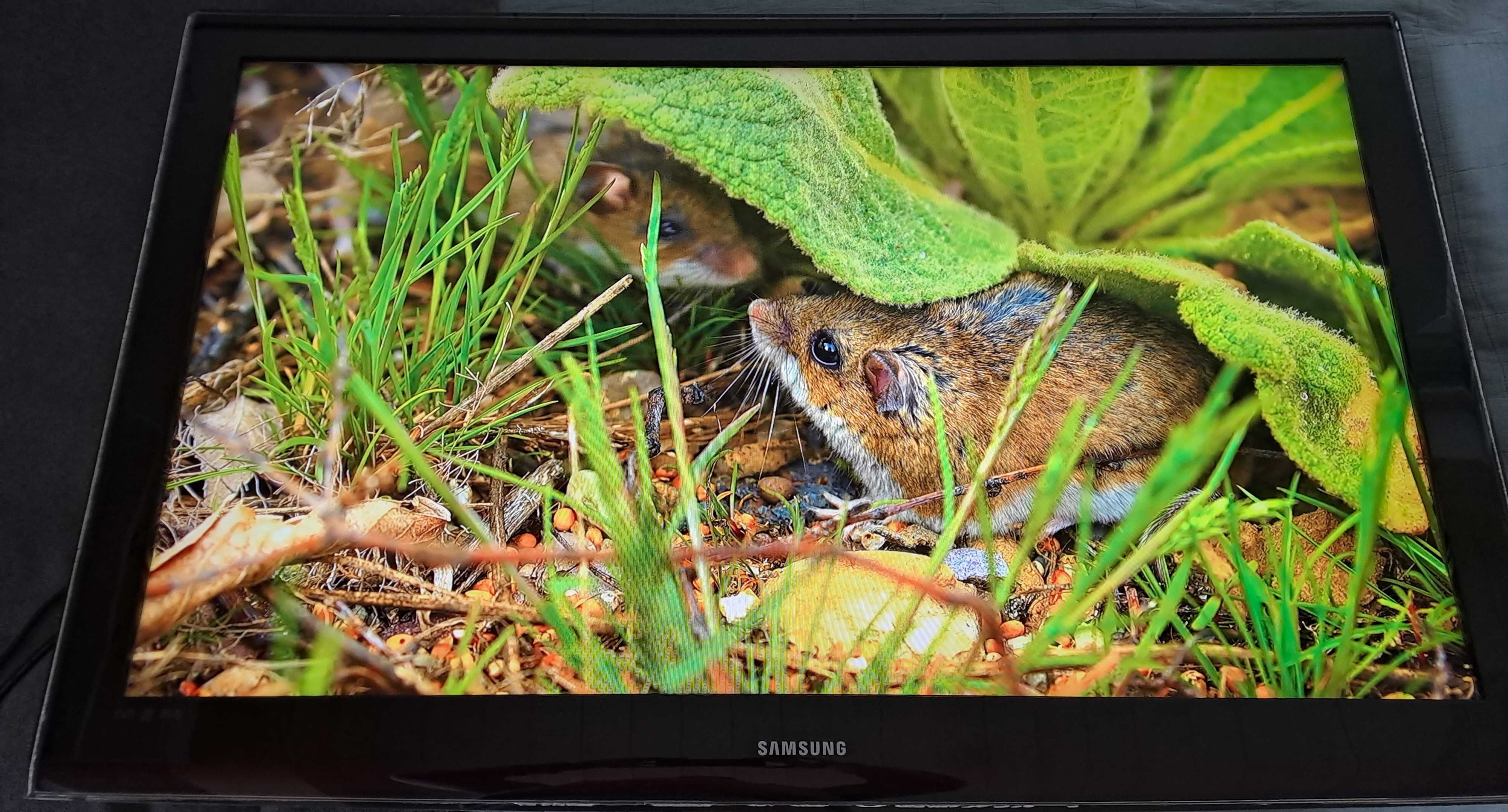 Telewizor LCD SAMSUNG LE46A656A1F 46 cali HDMI USB