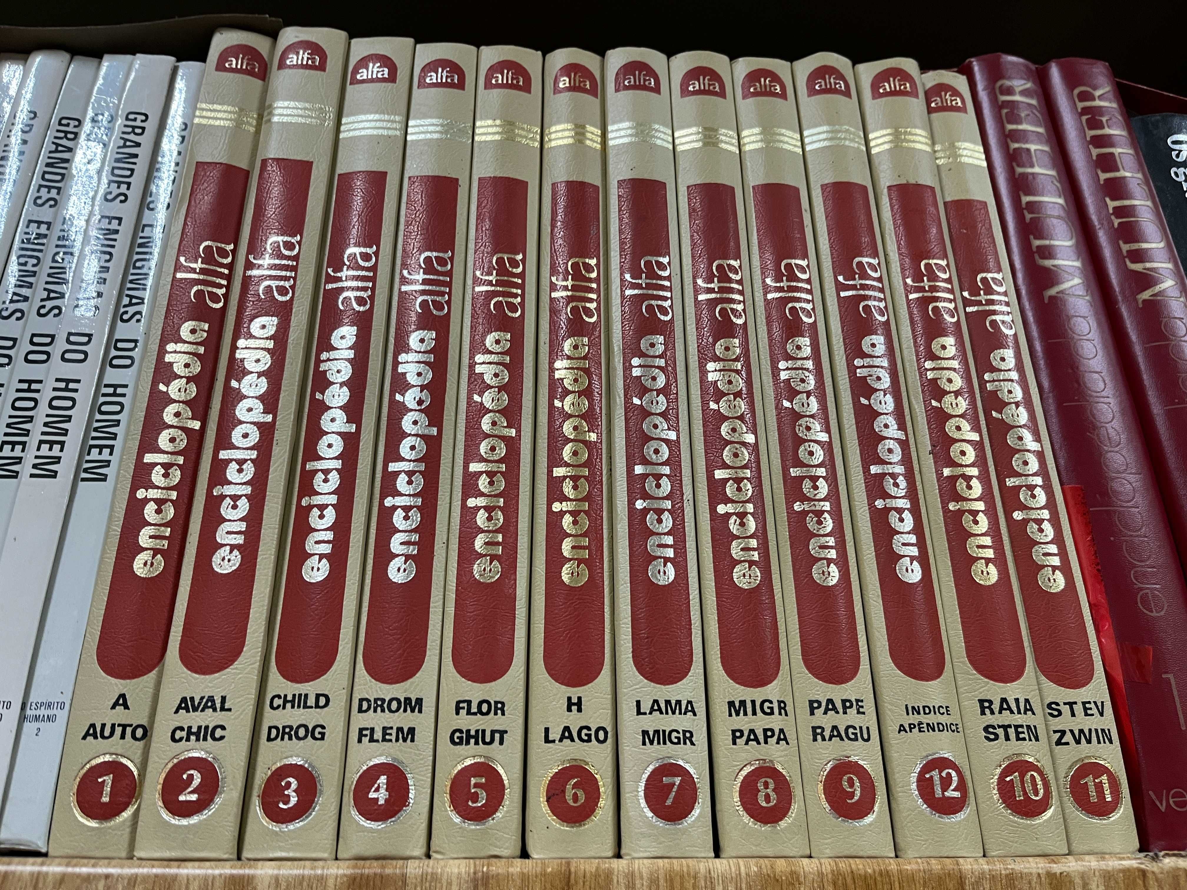 Enciclopédia Alfa completa