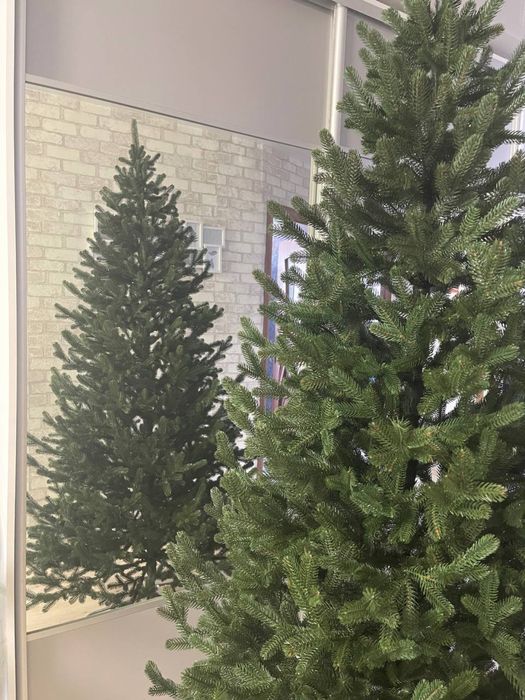 Ялинка лита Віденська, Альпійська, Ковалівська.Сіга Груп. Siga Group