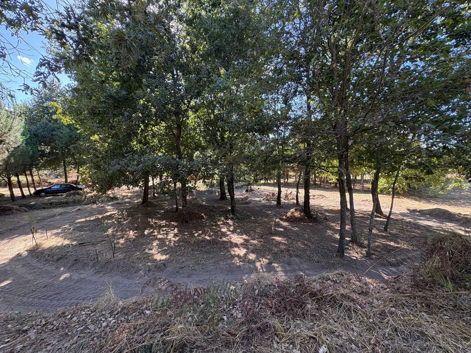 Carro Telecomandado 29cc Gasolina de Mistura 2T