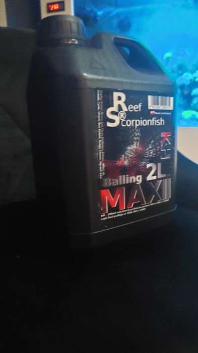 Balling KH Reef Scorpionfish