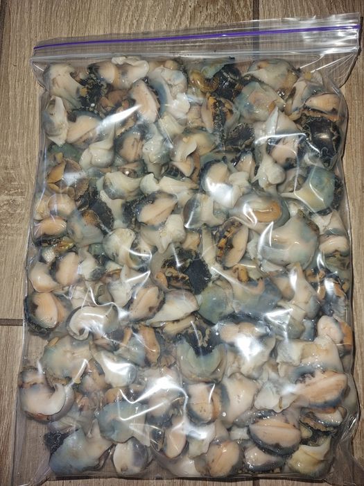 Рапани.Варено-морожені, свіжі. Ціна 550гр за кг.Від 3кг буде знижка.