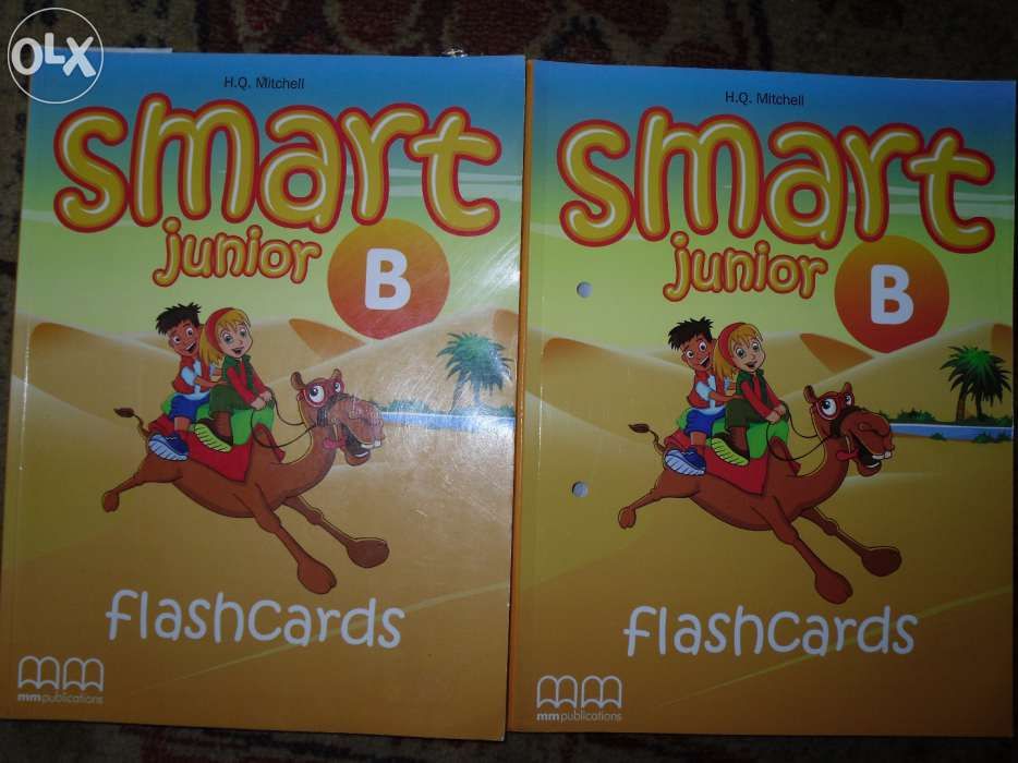 Smart Junior B flashcards karty obrazkowe do nauki słownictwa