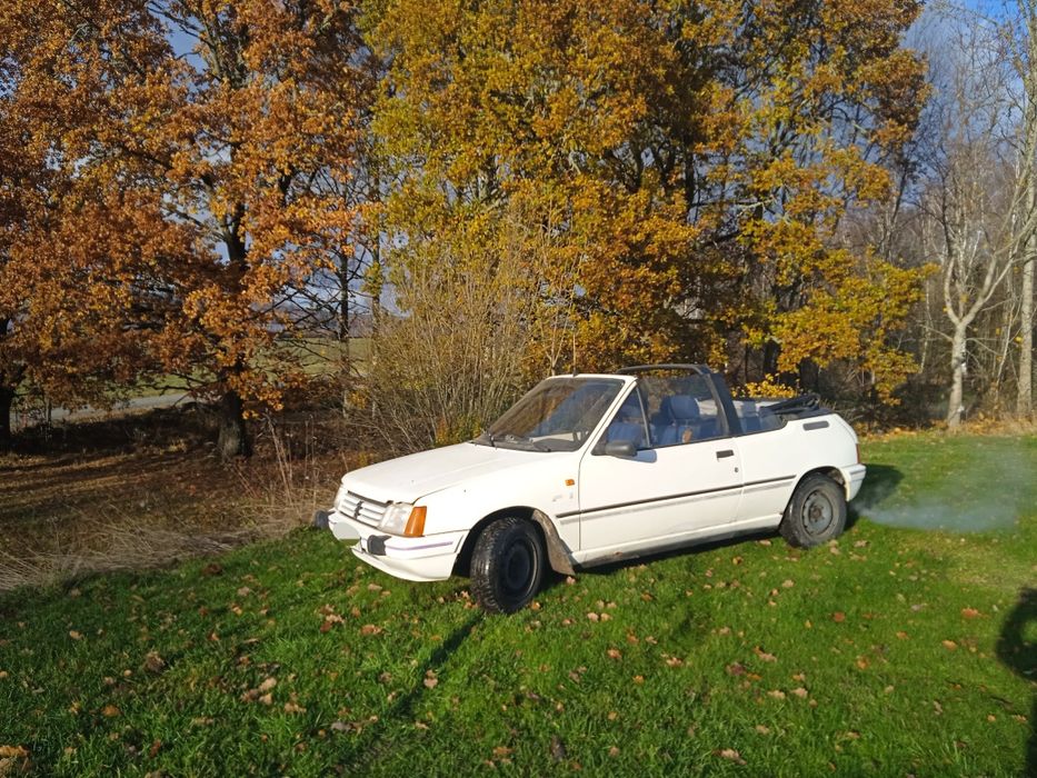 Peugeot 205 Cabrio CJ-Dkd2(Pininfarina)
