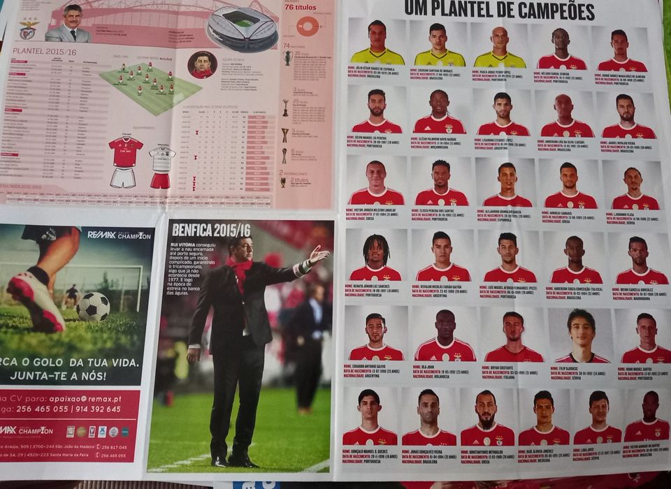poster Benfica campeão 2015/16