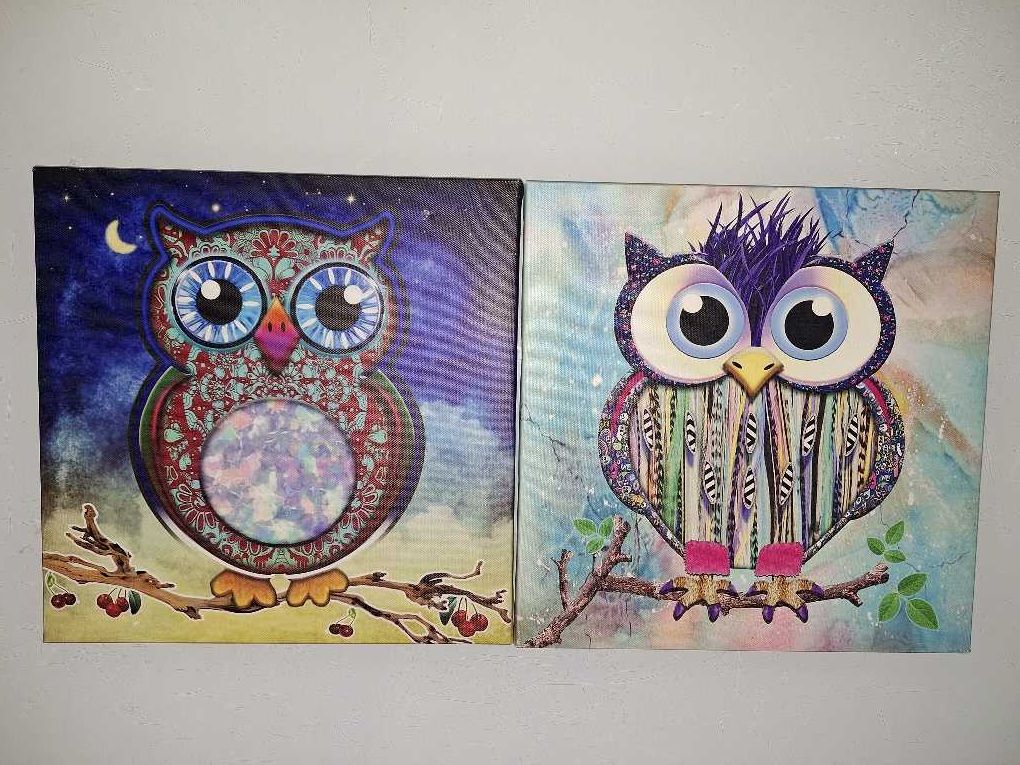 Obrazy z motywem sów sowy drukowane na płótnie 30x30cm GO-Bi obrazki