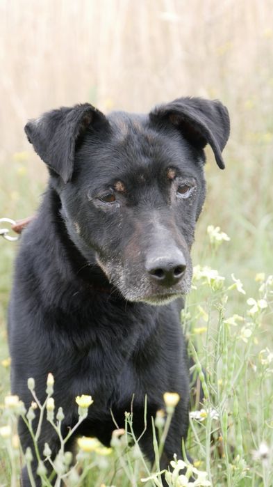 Kuba prosi o dom na ostatnie lata swojego życia.