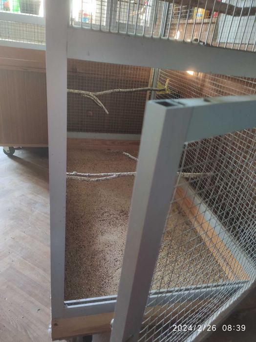 Woliera dla dużych ptaków