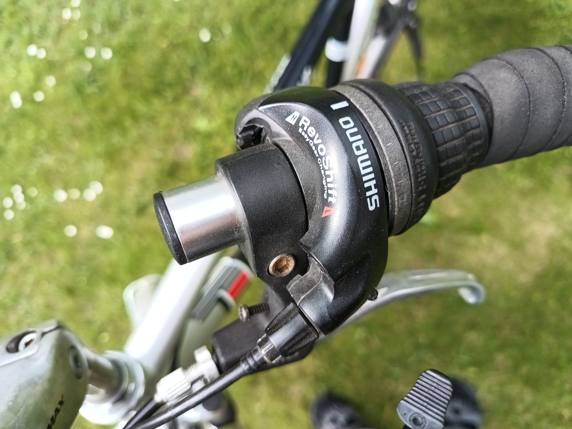 Rower Holenderski