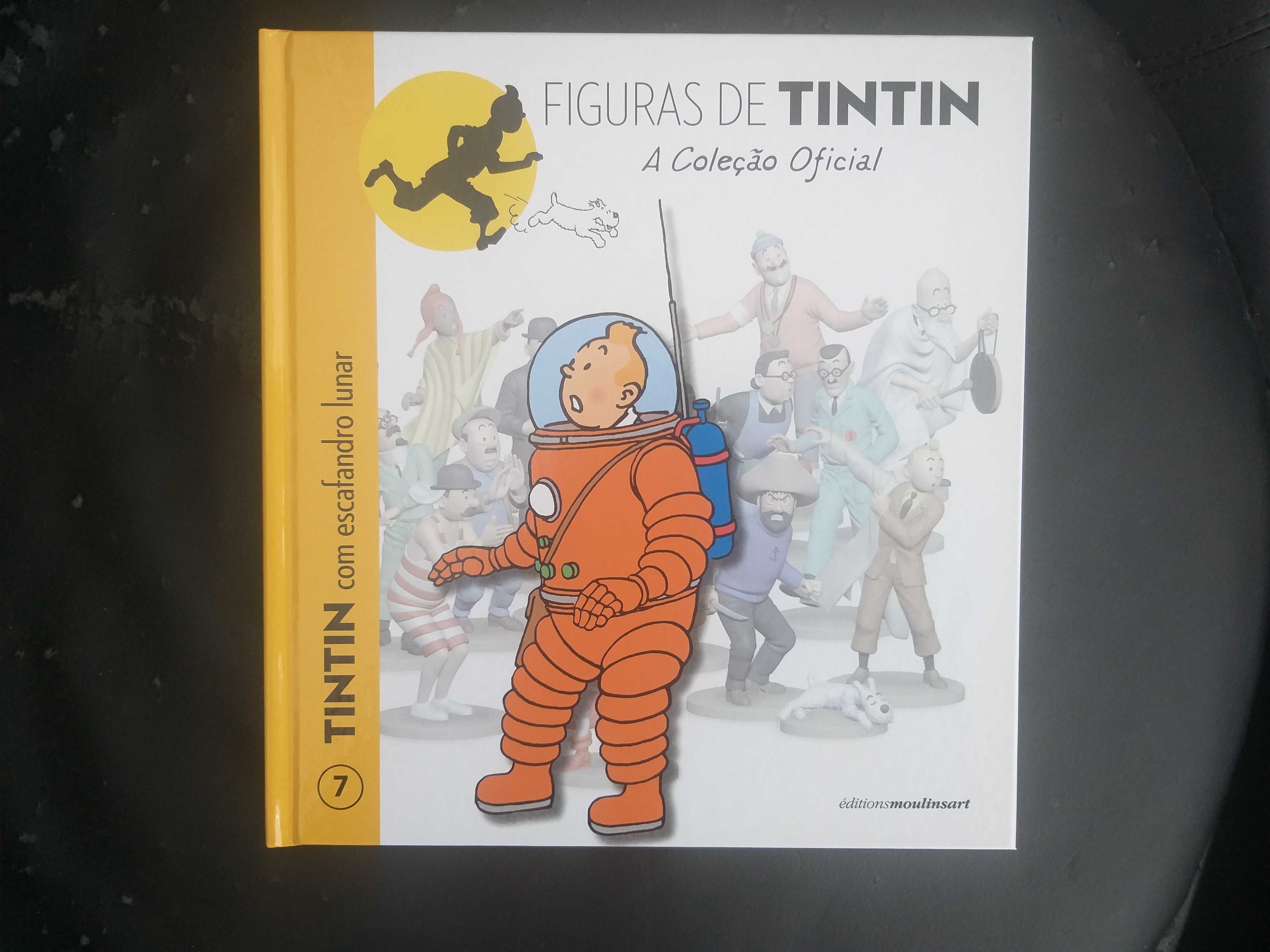 Livros BD Tintin, José Carlos Fernandes