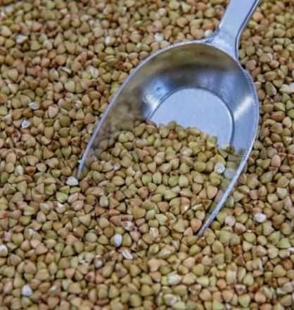 Sementes ao kg, plantar, alimentação de animais