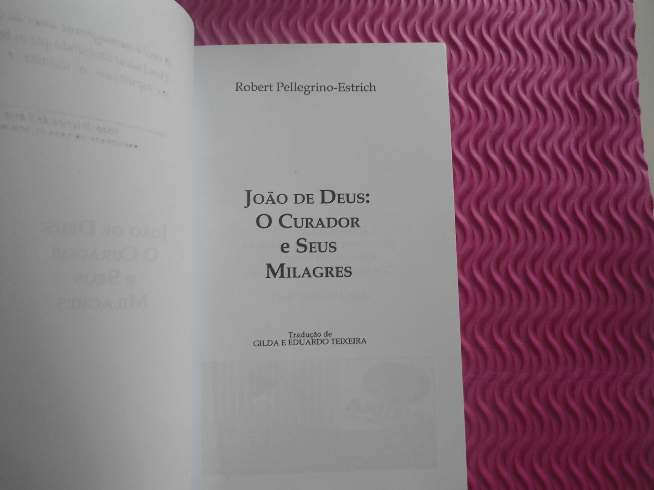 João de Deus: O Curador e seus milagres de Robert P. Estrich