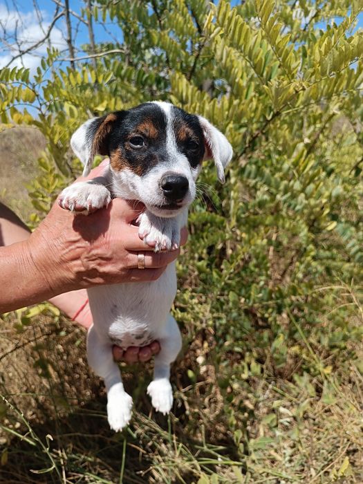 Полностью привита девочка