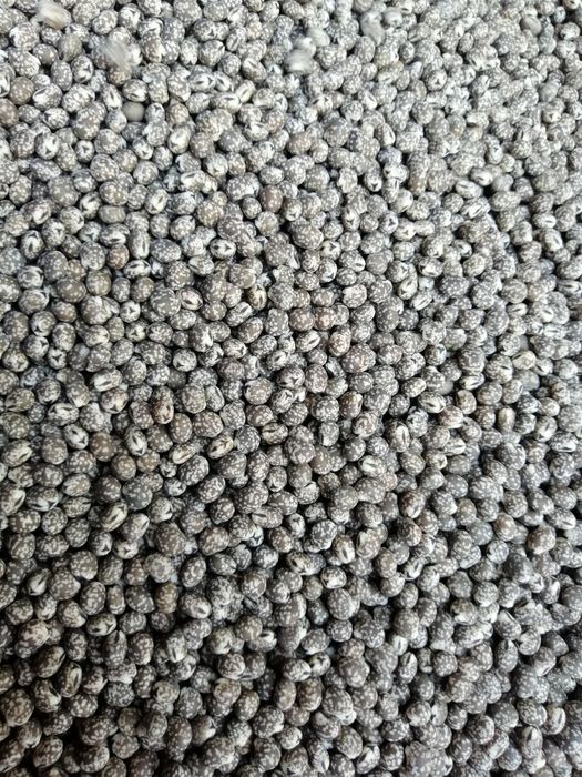 Sprzedam owies, pszenżyto, łubin, żyto