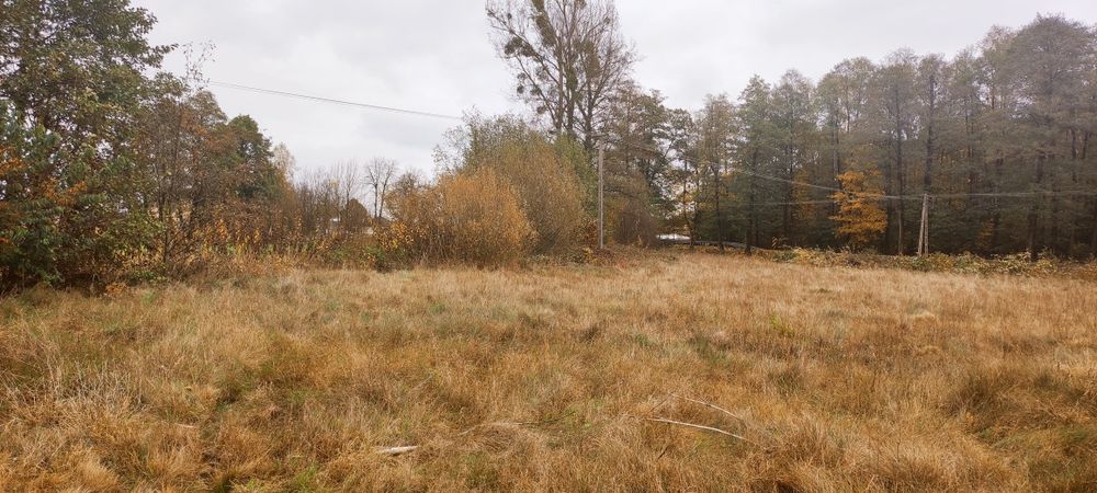 Sprzedam działkę budowlaną w Kozicach, gmina Garwolin, woj.mazowieckie