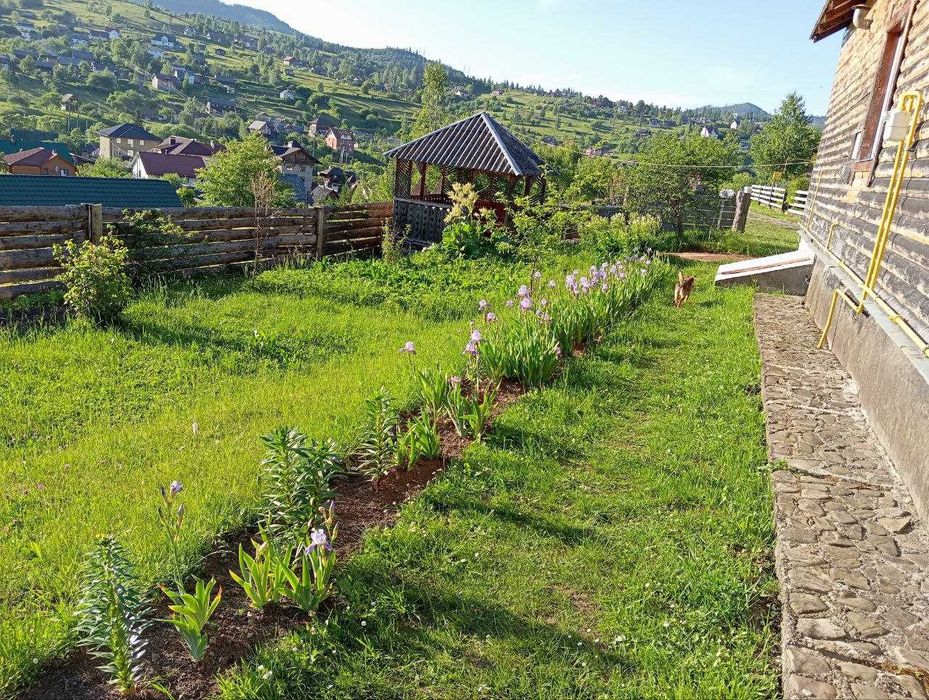 Житло, проживання, відпочинок у Славське