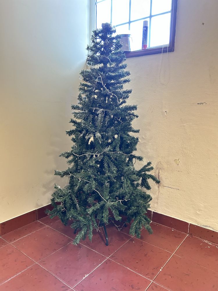 árvore de natal 1,60cm