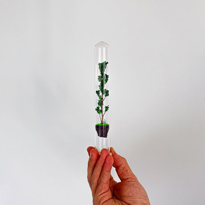 Spring - Tubo 2,5cm diâmetro x 20cm altura