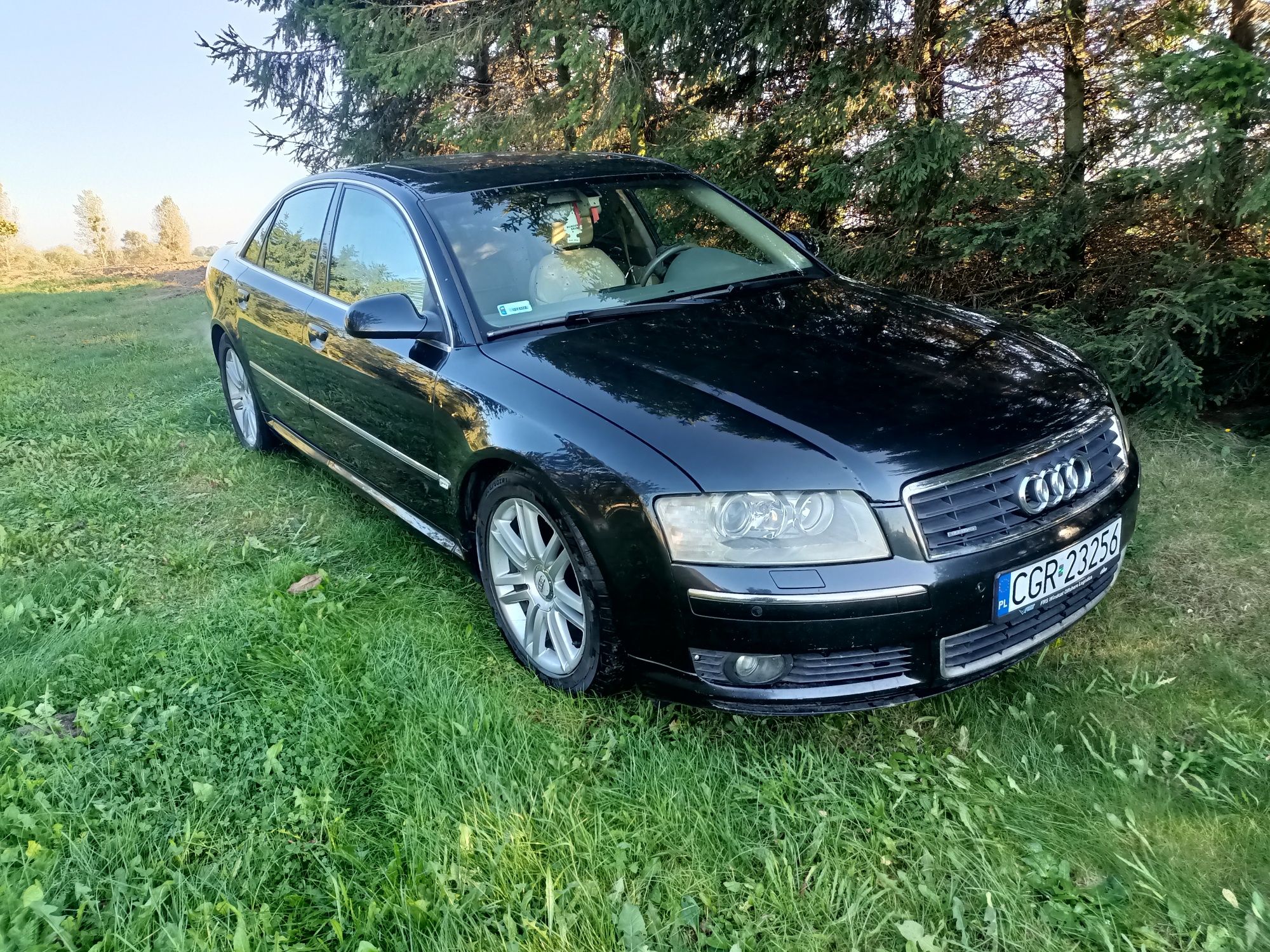 Audi A8 D3 4.2mpi bfm lpg