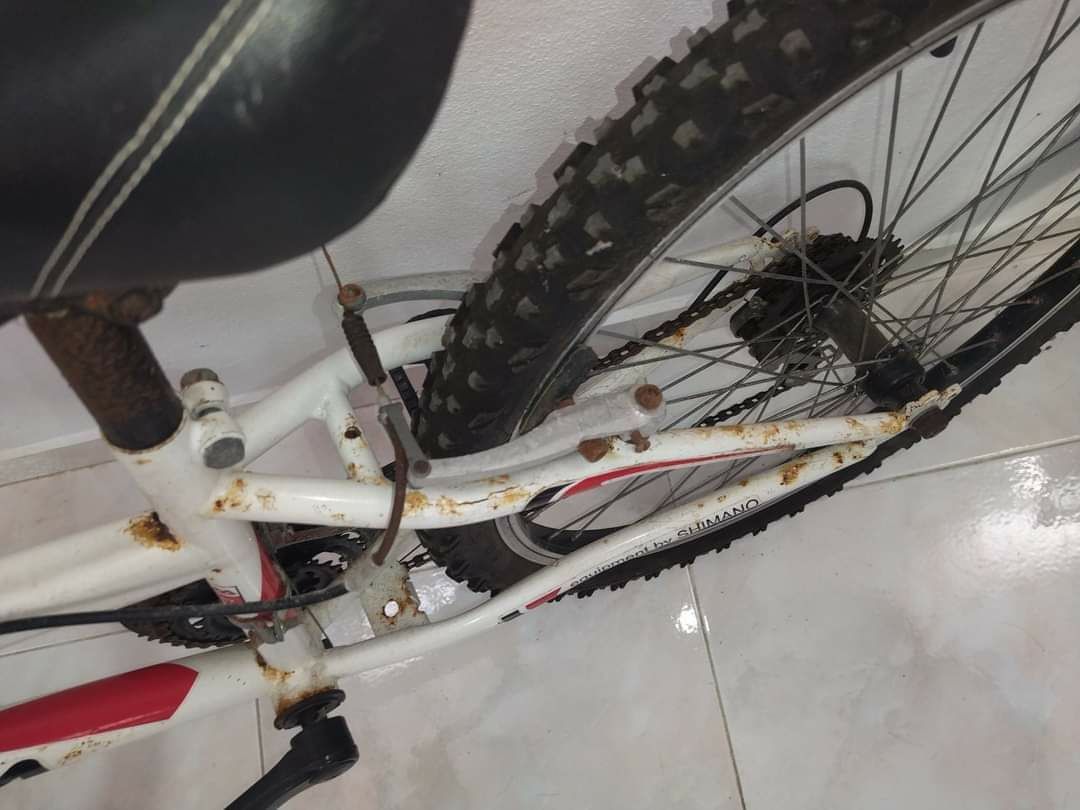 Bicicleta Shimano