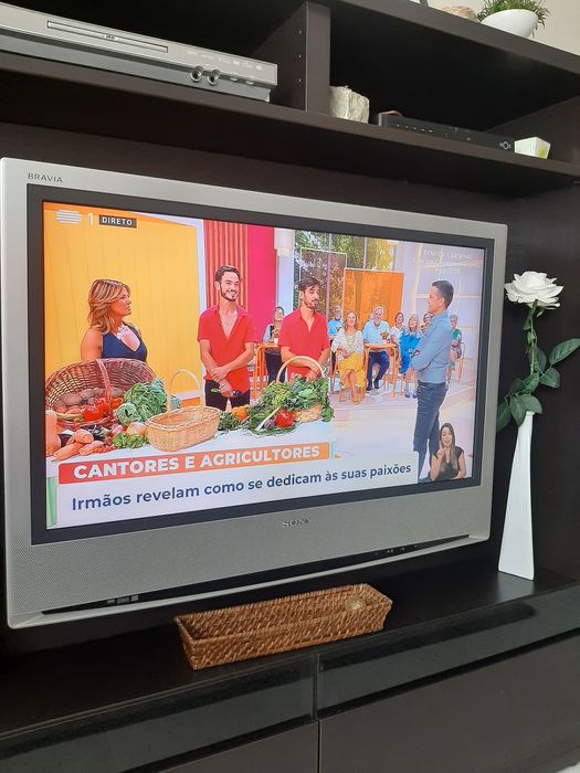 LCD  Sony  Bravia