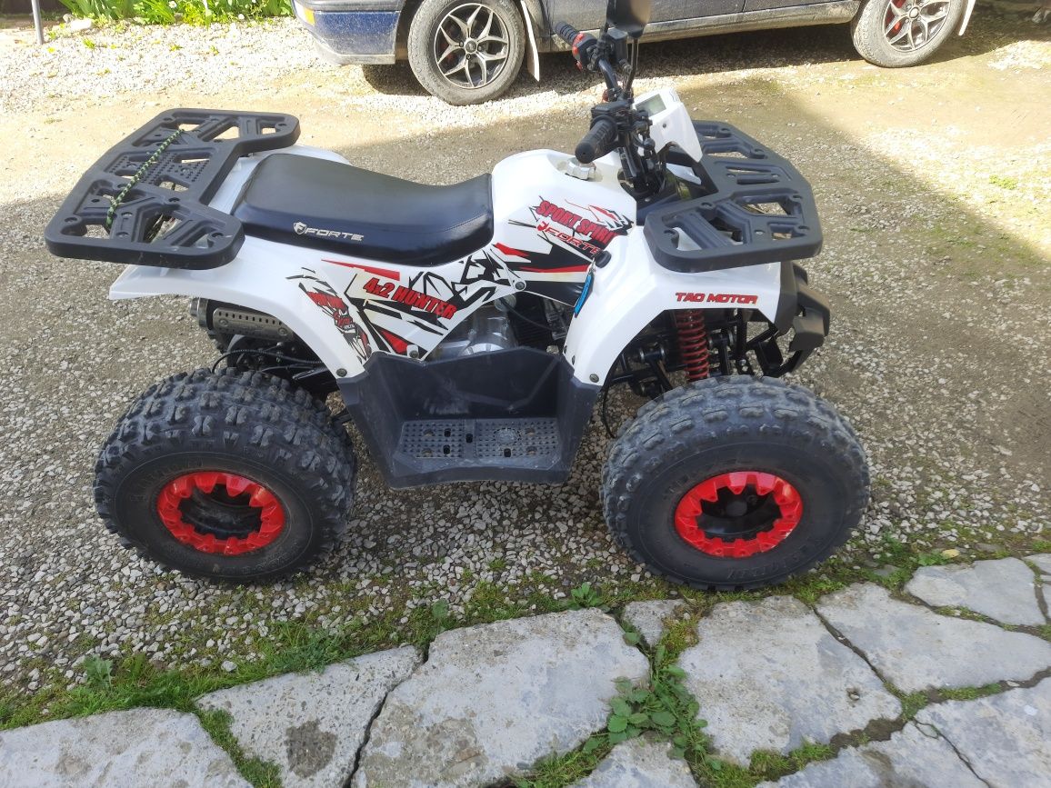 Квадроцикл Forte Hunter 125