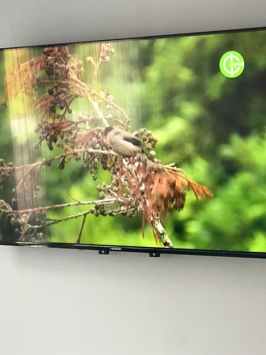 Квартира біля озера з круговою терасою та власною парковкою