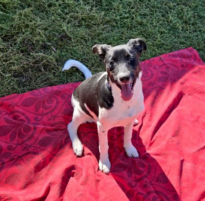 WIARA-ok 1 rok sunia uratowana wraz z rodzeństwem w Bułgarii