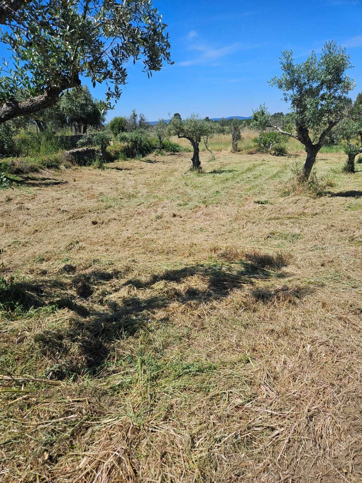 Venda terreno Retaxo - Castelo Branco