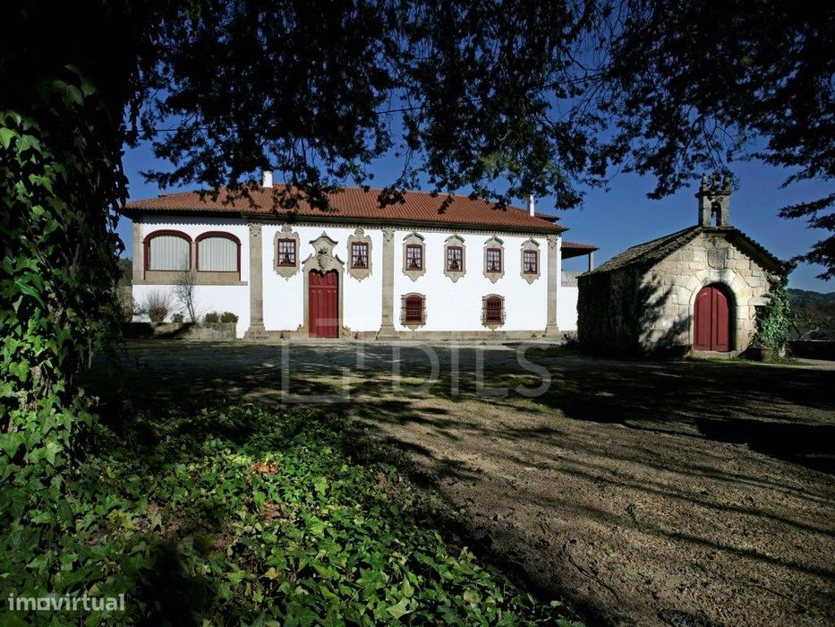 Quinta com 130ha na região do Dão