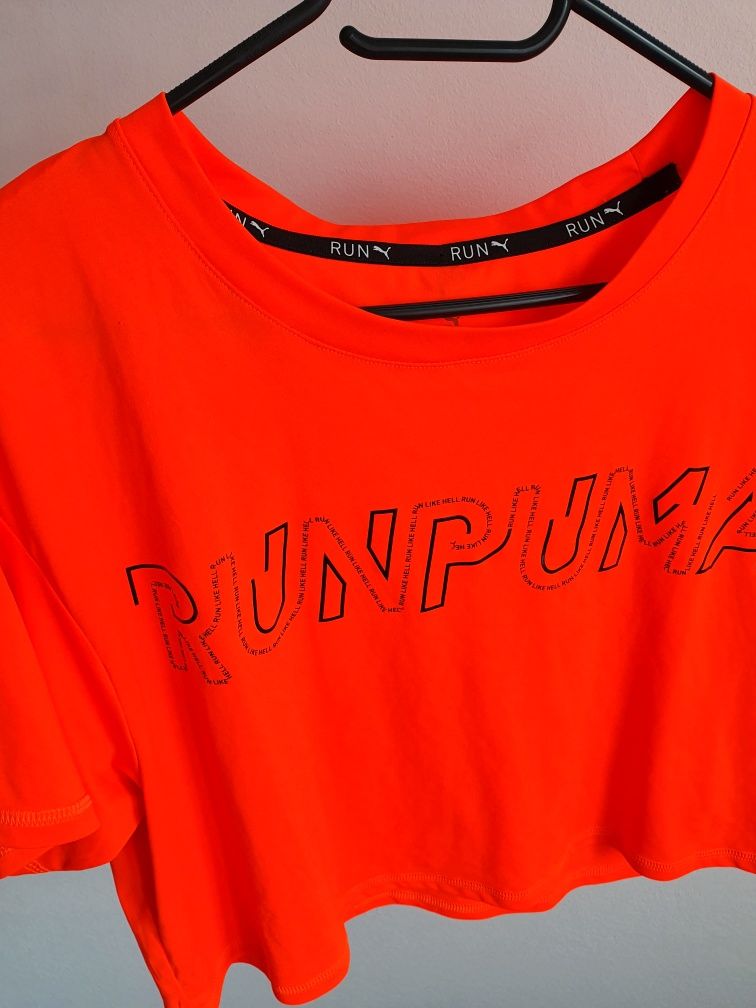 Top, topik Puma Run razacy