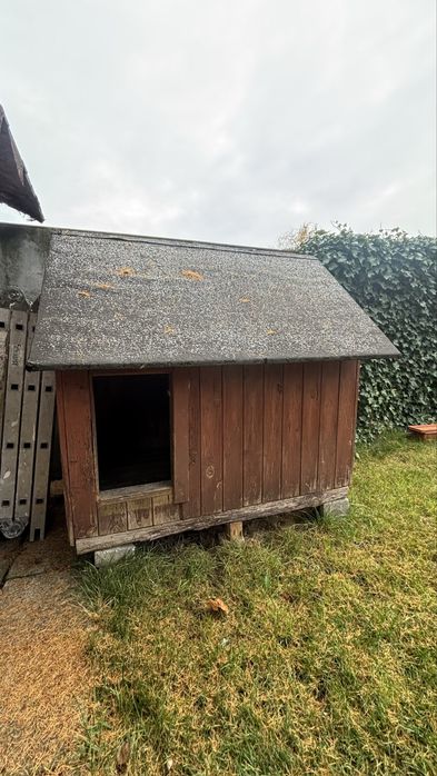 Buda dla dużego psa