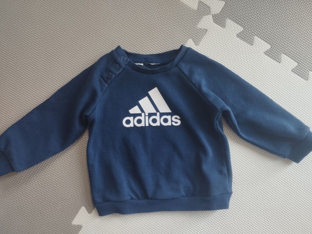 Bluza niemowlak Adidas
