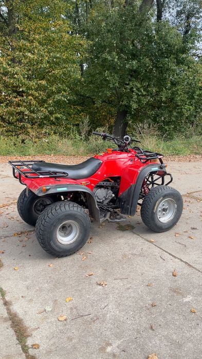 Quad Adly 300cc nowy gaźnik! Wszystko sprawne jeżdżący polecam.