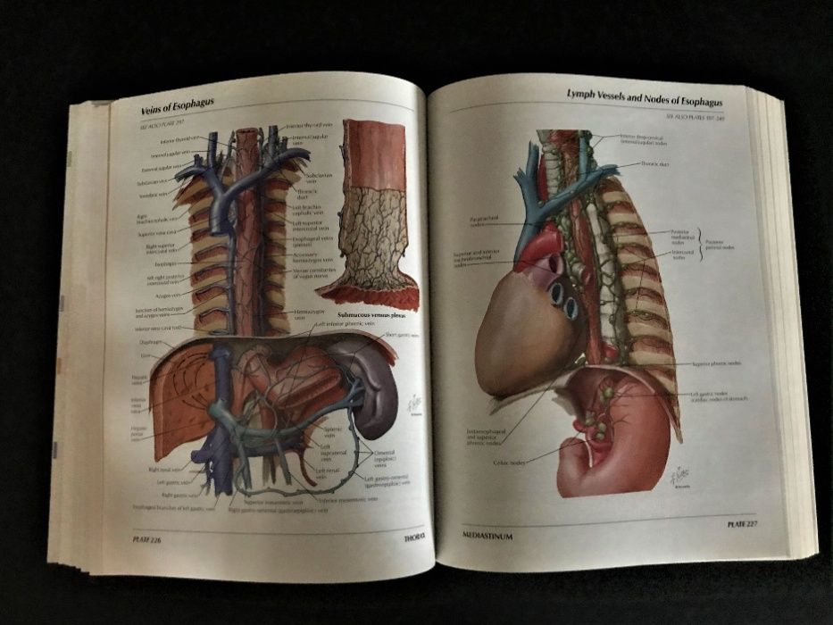 LIVRO-Atlas Of Human Anatomy de Frank H., Md Netter