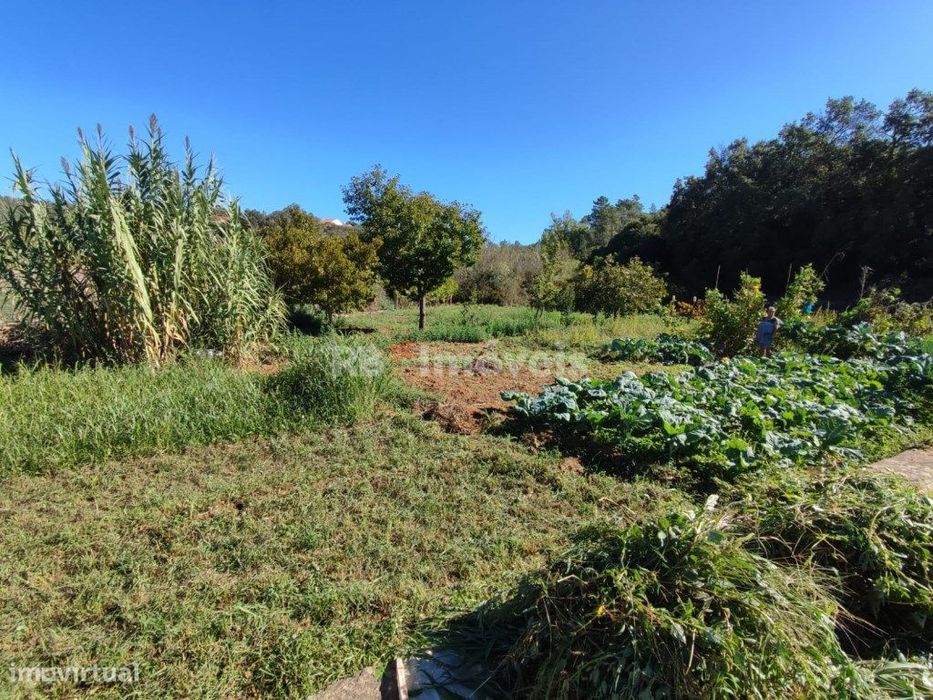 Terreno rústico com 280m² - Pomar, Tomar