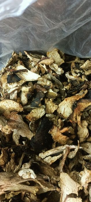 Продам гриби сушені