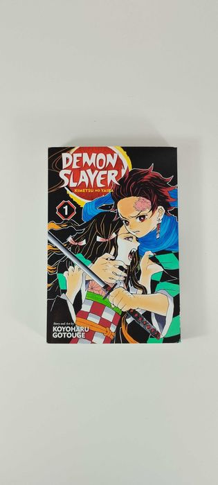 Demon Slayer Volume 1 - Koyoharu Gotouge