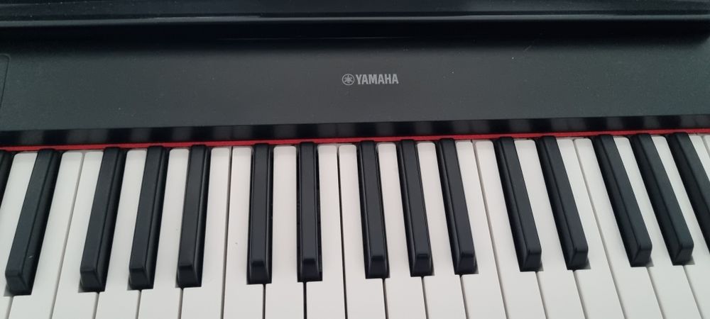 Teclado Yamaha piaggero NP-12B