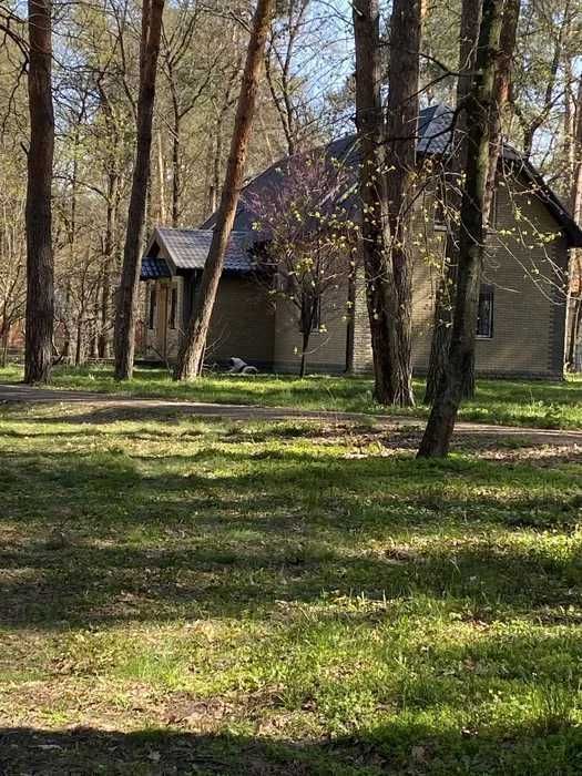 Аренда дома 250 м2 4к 200 соток село Орловщина