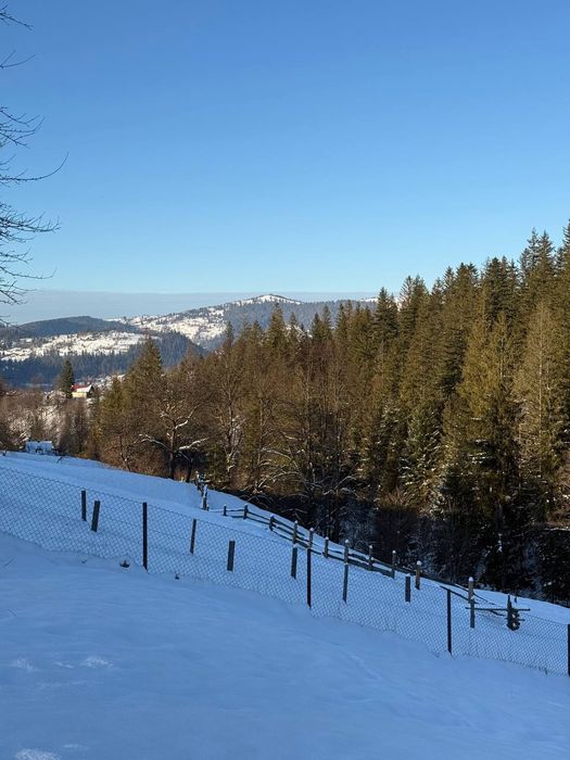 Оренда будинку в Карпатах.Котедж в Микуличині "Крістал Хаус".