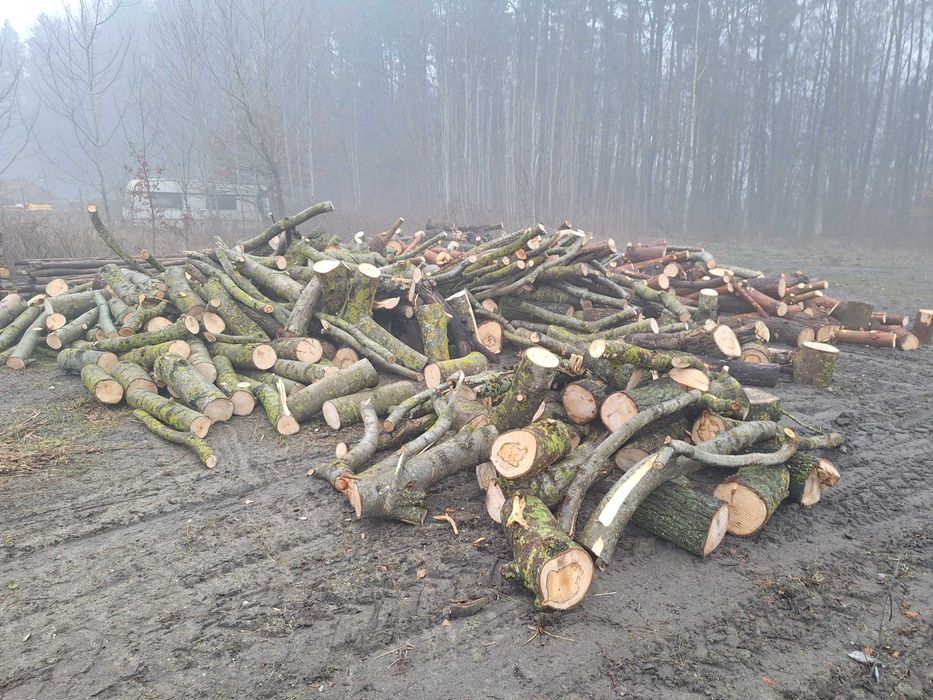 Drewno opałowe liściaste i iglaste w wałkach i klockach