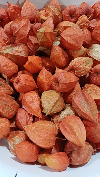 Продам фезалис 200 грамм