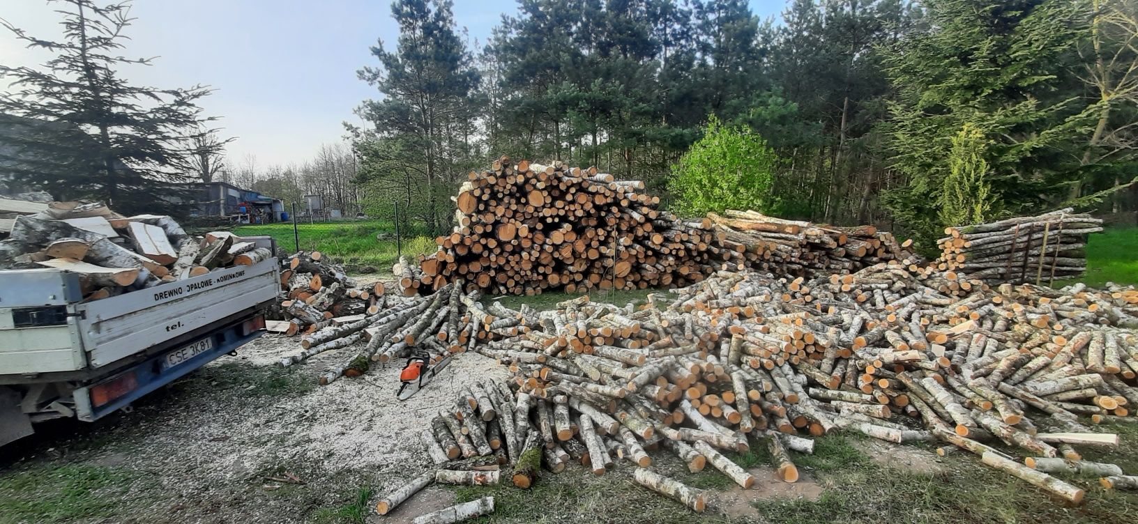 Wycinanie,wycinka drzew,krzaków cięcie rąbanie drewna  itp.