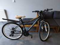 Rower Romet Jolene2