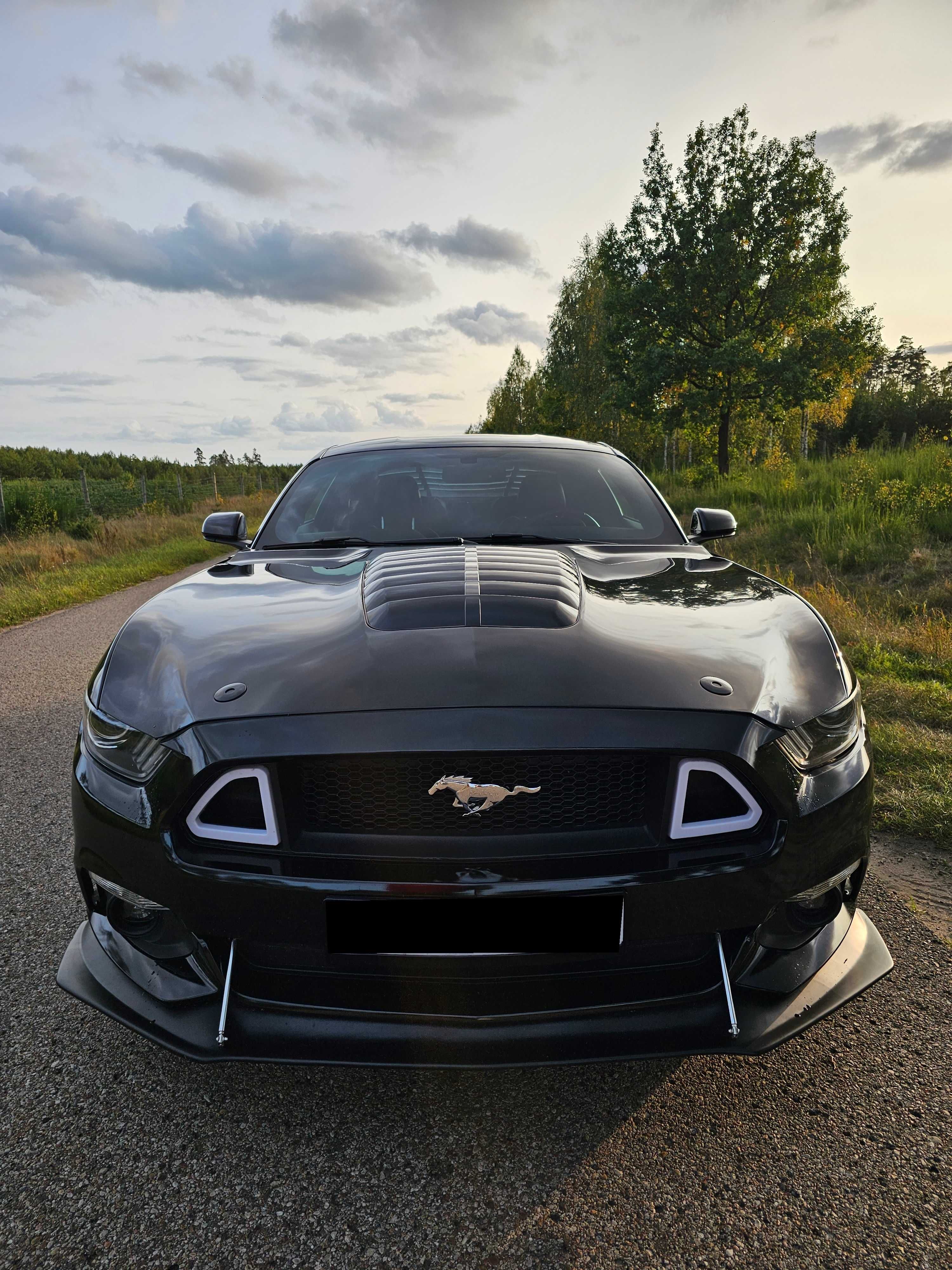 Ford Mustang VI 5.0 V8 50th aniversary edition